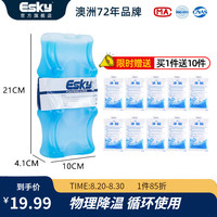 ESKY保温箱车载10L小冰箱冷藏露营迷你冰箱附冰砖户外后备箱便携箱子 600ml 冰砖+10*冰袋