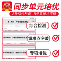 2024春王朝霞试卷培优100分一年级二年级三 四 五 六年级上册下册语文数学英语人教版苏教版北师版同步单元测试卷期末冲刺复习卷