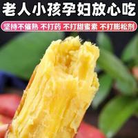 蹊蹊的小菜园 现挖陕西板栗红薯 3斤（单果50-150g）