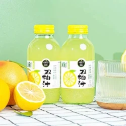 真植 双柚汁饮料 245g*10瓶