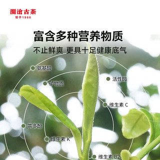 澜沧古茶白茶试喝装茶高山贡眉云南白茶老白茶礼盒装自己喝方便携带 200g1饼【高山贡眉小饼】