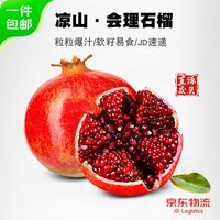 京觅 突尼斯软籽石榴 净重4.5斤 中大果300g+