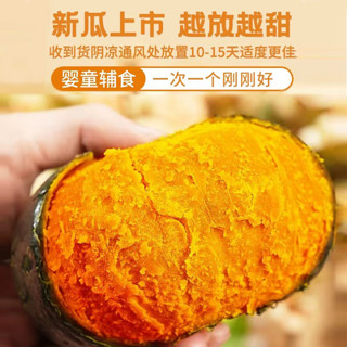 京鲜匠山东贝贝南瓜 粉面香甜小南瓜 新鲜蔬菜香甜软糯源头直发 净重 4.5斤 （4-9个）