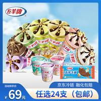 五羊牌甜筒雪糕五羊杯冰淇淋香芋哈密瓜巧克力榴莲冰激凌冷饮 【6支】 巧克力味甜筒73g/支