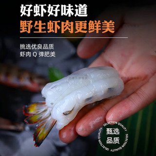 七冰东 竹节虾鲜活海捕速冻超大斑节虾九节虾野生基围虾对虾海鲜水产 特大稀有25-27cm 【4-5只/斤】 500g/盒