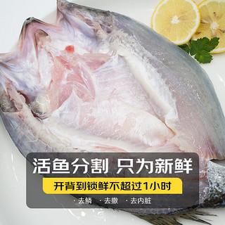 鲜京采三去海鲈鱼500g*3条 生鲜鱼类 白蕉鲈鱼地标 净重1.5kg 源头直发 【家庭装】白蕉海鲈鱼500g*3