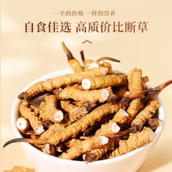 源江草 冬虫夏草断草10克精选大号断虫草干货自食佳选