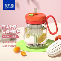 哈尔斯（HAERS）玻璃杯女士泡茶杯高颜值大肚吸管杯办公茶水杯子 枣红850ml【含玻璃吸管】