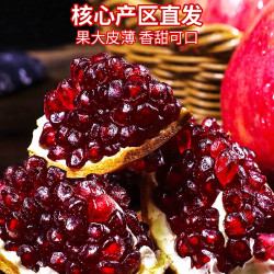 京觅 会理突尼斯软籽石榴 净重4.5斤 单果250g+ 箱装