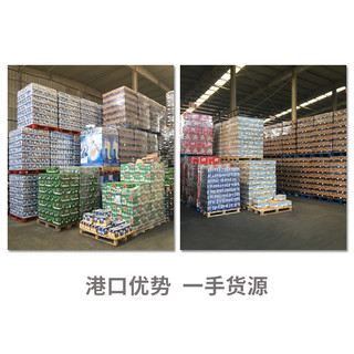 Belching Beaver 打嗝海狸 美好时光（墨西哥民谣） 墨西哥拉格 6听