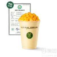 More Yogurt 茉酸奶 丨芒果酸奶奶昔兑换券