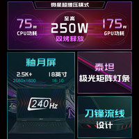  MSI/微星 RTX4080满血显卡 电竞游戏本  NVIDIA GeForce RTX4080 16GB，32GB，64GB 2560x1600像素 AMD R9-7945HX 240Hz