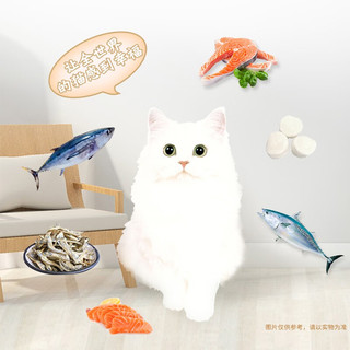 伊纳宝妙鲜包 妙好美味汤 湿粮包拌粮 全价猫零食猫咪补水 金枪鱼配方40g*12包