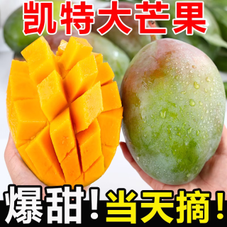 千园九味四川攀枝花凯特芒果  应季时令新鲜水果现摘酸甜青黄芒礼盒 青皮【净重4.5斤单果600g+】