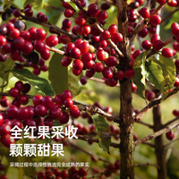 明谦 MQ COFFEE落日绵巧云南SOE咖啡豆意式咖啡美式现磨咖啡深烘拿铁黑咖啡