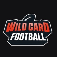 Epic 喜加一 Wild Card Football