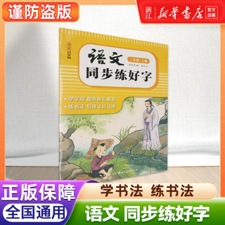 2024人教版小学同步练字帖一年级二年级三年级四年级五六年级上册字帖练字语文 好词好句 湖北美术出版社