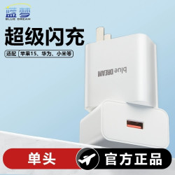 蓝梦 100W USB单口充电器