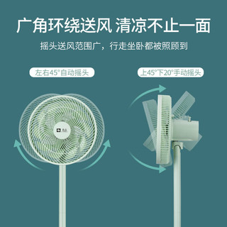 骆驼;CAMEL电风扇落地扇遥控风扇轻音大风力空气循环扇摇头平面扇电扇 珍珠白—机械（台地两用）