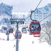 丰俭由人的“滑+住”套餐，国家级滑雪度假地！吉林万科松花湖度假区10店2晚通兑套餐（含早餐+滑雪权益+接驳巴士等）