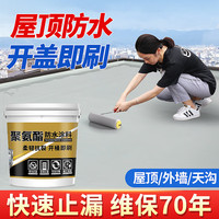 臻榜防水涂料屋顶防水补漏材料房顶裂缝防水胶沥青王房屋楼顶防漏水胶 4斤/灰色【施工约4㎡】送工具