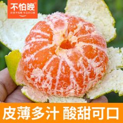 不怕晚 正宗新鲜云南蜜桔无籽青皮薄皮橘子当季孕妇水果现摘酸甜桔子5斤