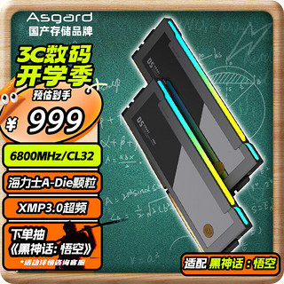 阿斯加特（Asgard）32GB(16Gx2)套 DDR5 6800 台式机内存条 RGB灯条-博拉琪Ⅱ代【C32】极夜黑