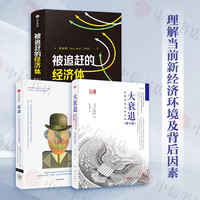 被追赶的经济体+复盘+大衰退（套装3册）辜朝明  经济 中信