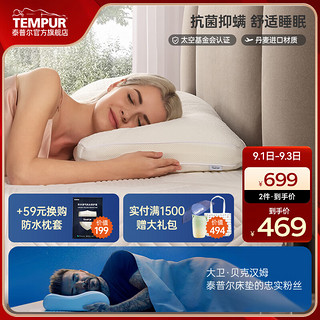 TEMPUR 泰普尔 枕头记忆棉颈椎枕芯深度养护睡眠慢回弹护颈枕舒适睡觉单个舒芯 舒芯枕 S码（48*32*6cm）