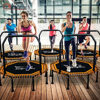 DIBU 迪步 蹦蹦床成人运动弹跳床室内家用房跳跳床 双扶手款-48英寸承重800斤-真无声-可折叠