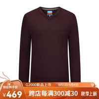 G2000【羊毛混纺】G2000男装商场同款2024秋冬柔软舒适多色毛衣针织衫