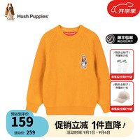 暇步士（Hush Puppies）童装儿童男女中性大童秋季柔软舒适时尚百搭线衣 姜黄D款 120cm