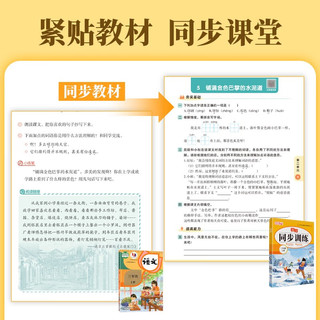 2024最新三年级上册同步训练练习册语文一课一练同步人教版课本教材随堂练习题课时作业本