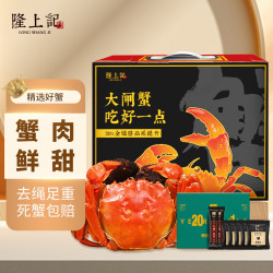 LONG SHANG JI 隆上記 隆上记鲜活大闸蟹 全母蟹1.6~1.8两10只 去绳足重 死蟹包赔 螃蟹中秋礼盒