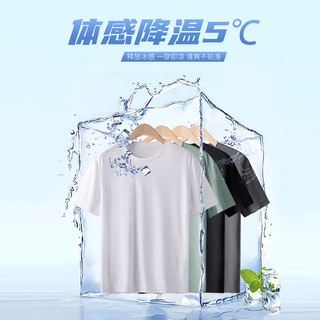 真维斯冰丝短袖t恤男夏季运动网眼速干体恤男士薄款透气五分袖GW 白#ZS蓝胖熊 L