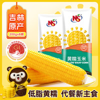 小熊尼森 NEESON东北黄糯玉米棒真空包装非转基因1.6kg 8袋 黄糯玉米1.6kg 8袋