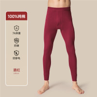 南极人 纯棉男士打底秋裤
