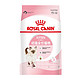  ROYAL CANIN 皇家 幼猫猫粮 K36通用粮4-12月离乳期  助免疫亲肠胃助消化 6.5kg　