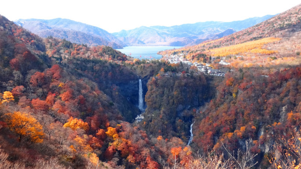 东京1-2h的小众赏枫地!一泊二食500+,还能泡汤!国庆、部分红叶季不加价!日本坂圣日光旅馆