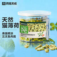 网易天成 YANXUAN 网易严选 猫零食 猫薄荷饼干 95g