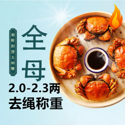 HUXIANYANGCHENG 湖鲜阳澄 大闸蟹 去绳足重 全母2.0-2.3两 8只  死蟹包赔