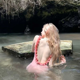 安与·洛施琪泳衣女小胸聚拢露背ins度假温泉甜欲风泳装 粉红色 L (95-115斤)
