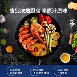Skeppshult 斯肯特 铸铁不粘锅平底深锅煎锅25cm核桃木手柄 0250V
