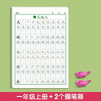 金枝叶 同步练字帖一年级上册下册字帖二年级三年级语文人教版小学生四五六儿童控笔训练笔画笔顺练字本每日一练硬笔