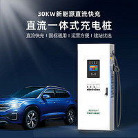 PRTDT 普诺得 新能源汽车30kw直流充电桩特斯拉model3直流快充蔚来ES8刷卡扫码 30kw直流充电桩