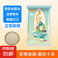 JX 京喜 当季新米软香丝苗米晚稻籼米长粒 丝苗米500g*1袋