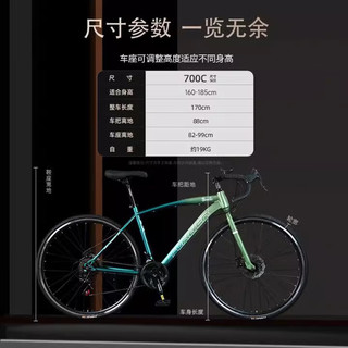 永久弯把公路自行车公路车自行车成人公路车入门级公路赛骑行破风 标配草木绿30刀辐条轮+礼包 24速x700C
