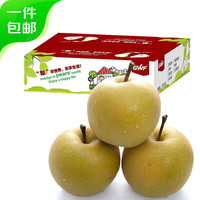 京鲜生 河北爆汁丰水梨 净重4.5斤 单果250g+ 生鲜水果 源头直发