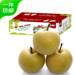 京鲜生 河北爆汁丰水梨 净重4.5斤 单果250g+ 生鲜水果 源头直发