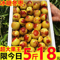 陕西大荔冬枣 新鲜大枣 5斤